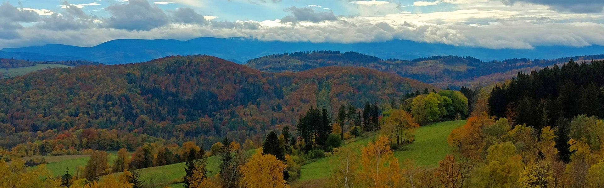 Zielonym szlakiem